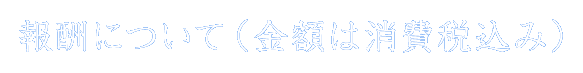 報酬について（金額は消費税込み）